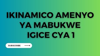 #IKINAMICO Amenyo ya mabukwe Igice cya 1