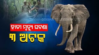 Killing of Tusker in Narasinghpur: Some suspects detained; Investigation begins