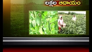 Jai Kisan TS - 15th July 2016 - లాభసాటిగా పందిరి కూరగాయల సేద్యం