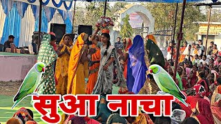 सुआ नृत्य कंवर समाज सम्मेलन बगिया// सांस्कृतिक  कार्यक्रम //#viralvideo #dance