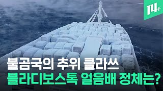 대체 뭘 싣고 온거야? 얼음덩어리? 아니 자동차야! / 14F