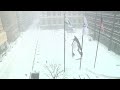 hd timelapse of blizzard 2011 daley plaza chicago