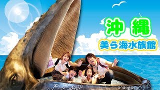 【沖縄コラボ♡】ママが絶対行きたかった美ら海水族館に行って来たよ☆himawari-CH