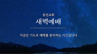 [동선교회 2024.12.10] 화 | 새벽예배 - 그것은 착각입니다(암 5:21-24) | 김재진목사