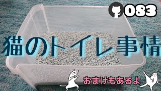 猫のトイレ事情の巻～！(おまけもあるよんw)【ロシアンブルー】