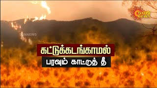 കൊടൈക്കനാലിൽ കാട്ടുതീ നിയന്ത്രണാതീതമായി പടരുന്നു കൊടൈക്കനാൽ | കാട്ടുതീ