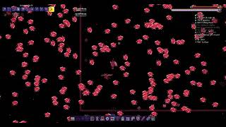 supreme calamitas first bullet hell death mode but like 4x bullets