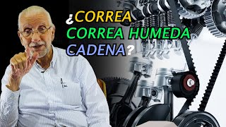 Correa seca VS. húmeda VS. cadena.