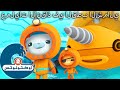 أوكتونوتس | 🐻‍❄️ عمليات الإنقاذ في القطب الشمالي ⛑️ | حلقات مجمعة