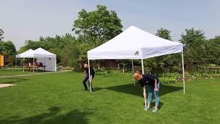 Eurmax 10x10 pop up canopy