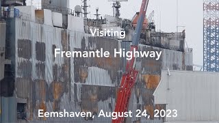 🆕 'Fremantle Highway' Broke The Internet, But What's The Prognosis People? - #2624NL