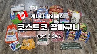 코스트코 장바구니 캐나다 할리팩스 사는 한인 가족 뭘 먹고 살까? 도시락 메뉴 Canada Halifax Costco