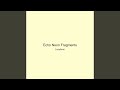 Echo Neon Fragments