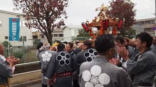 板橋農業まつり　神輿渡御　徳丸親和会　2024/11/10 c7