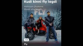 Fly Full Lirycs Song | Badshah X UchanaAmit | Geet Mp3 Song