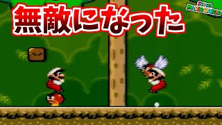 【検証】マリオが無敵になると聞いて試したら意外なことが起きた【マリオワールド】