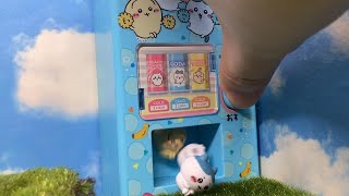 【chiikawa】Don't miss the moment of being born! Vending machine gacha