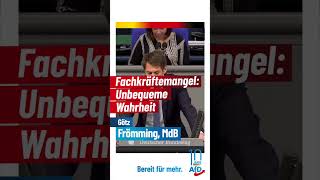 Fachkräftemangel: Unbequeme Wahrheit - Götz Frömming, AfD