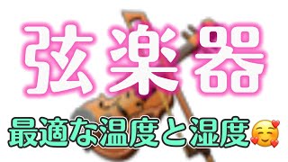 【弦楽器】必見！大切な楽器を守るために最適な温度と湿度とは？（ヴァイオリン、ヴィオラ、チェロ、コントラバス他）