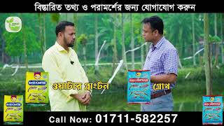 ডাবল গ্রোথ এবং ওয়াটার প্লাংন্টন ব্যবহার করে ঢাকার ব্যবসায়ী এখন সফল মাছ