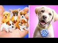 I've adopted a Dog | Best Pet Gadgets *Funny Dog Video*