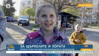 Тази сутрин: За щъркелите и хората: Питомна птица в Стара Загора е настанена в спасителен център