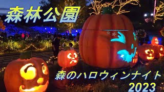 森林公園　森のハロウィンナイト2023　イルミネーションとライトアップの競演