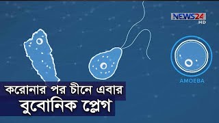 করোনা পর এবার ‘বুবোনিক প্লেগ’ রোগ ছড়িয়ে পড়ার ঘটনা 6Jul.20|| Bubonic Plague China