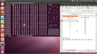 Ubuntu 12.04 Forensics - ASCII to Hexadecimal Conversion