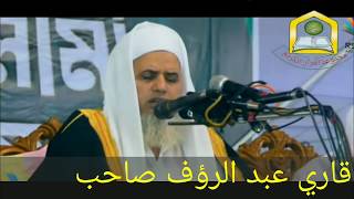 Qari Abdur Rouf Sb قاری عبدالرؤف صاحب