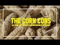 THE CORN COBS AS ONE OF RENEWABLE ENERGY