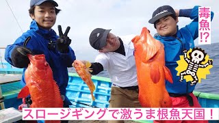 【シガテラ】スロージギングで根魚祭り！中毒の危険性があるからバラハタは食べない⁉︎そんなの勿体無い‼︎【小笠原諸島 母島】Slow pitch Jigging