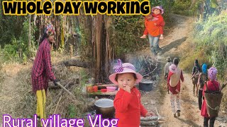 We Went To The JHUM FIELD For Clearing the jungle || Nagaland Village Farmers Lifestyle