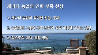 03: 캐나다 농업의 인력 부족 현상