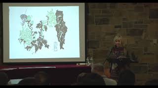 Dr. Shelley Drake Hawks on Chinese calligraphy by ink painters during the Mao years in China