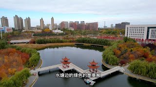 在百米高空航拍长春友谊公园，一湖碧水周围树木色彩斑斓，秋色不逊春光