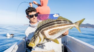 Chasing BIG TUNA and Tassie Trumpets!