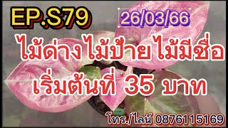 EP.S79 ไม้ด่างไม้ป้ายไม้มีชื่อ ราคาเริ่มต้นที่ 35 บาท โทร./ไลน์ 0876115169