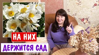 КРАСИВЫ ВЕСЬ СЕЗОН! Этих растений должно быть как можно больше в саду.