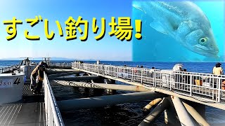 日本最強の釣り公園とっとパーク！秋の情報。そこはすごい釣り場