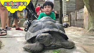 FEEDING ANIMALS IN FARM in the City Malaysia | Zoo Safari petting animals for kids