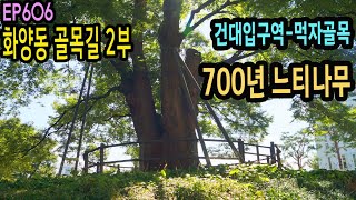 화양동 2부 북쪽(먹자골목-모텔골목-700년 느티나무)SEOUL Hwayang-dong Alley 2(700-year-old zelkova tree)EP606