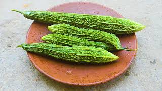 சுவையான பாகற்காய் பொரியல் 🥒🥬🥗☘️🍃🍀||Pavakkai Poriyal Recipe#trending #shortvideo #shortsfeed