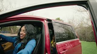 TxT Vehicle Registration Renewal - "Texan Time-Tammy"