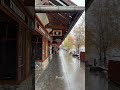 let it snow ! winter in banff, alberta, canada 🇨🇦❤️ #travelshorts