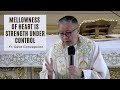 MELLOWNESS OF HEART IS STRENGTH UNDER CONTROL - Homily by Fr. Dave Concepcion (MAY 22, 2022)