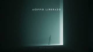 Acesso Liberado (Ao Vivo) | Erick Gabriel - Peniel Music