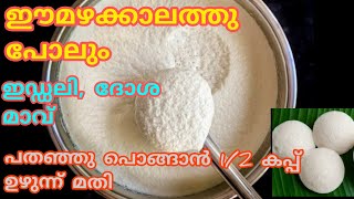 ഇഡ്ഡലി, ദോശ മാവ് മഴക്കാലത്തു പോലും പതഞ്ഞു പൊങ്ങാൻ 1/2 കപ്പ്‌ ഉഴുന്ന് മതി/perfect dosa iddli batter