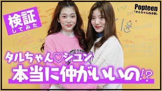 【検証】タルちゃん＆シユンは本当に仲がいいのか検証してみた！【Popteen】