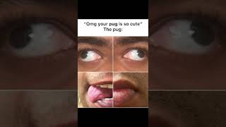G5fxtjJu9Ug